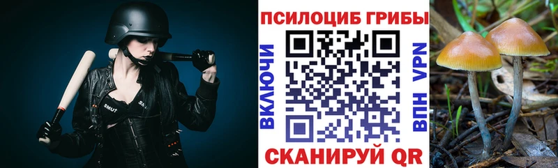Псилоцибиновые грибы мицелий  Макаров 